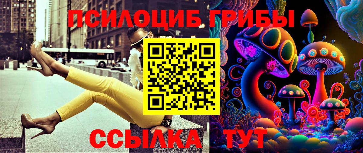 Псилоцибиновые грибы GOLDEN TEACHER Великие Луки